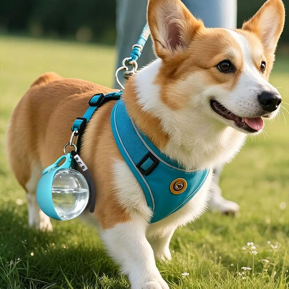2-In-1 Portable Dog Pet Water Bottle Leak-Proof Compact Outdoor Travel Water Dispenser Plastic Pet Water Drinking Supplies